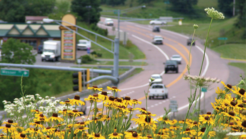 drive smart and keep pedestrians and bicyclists safe