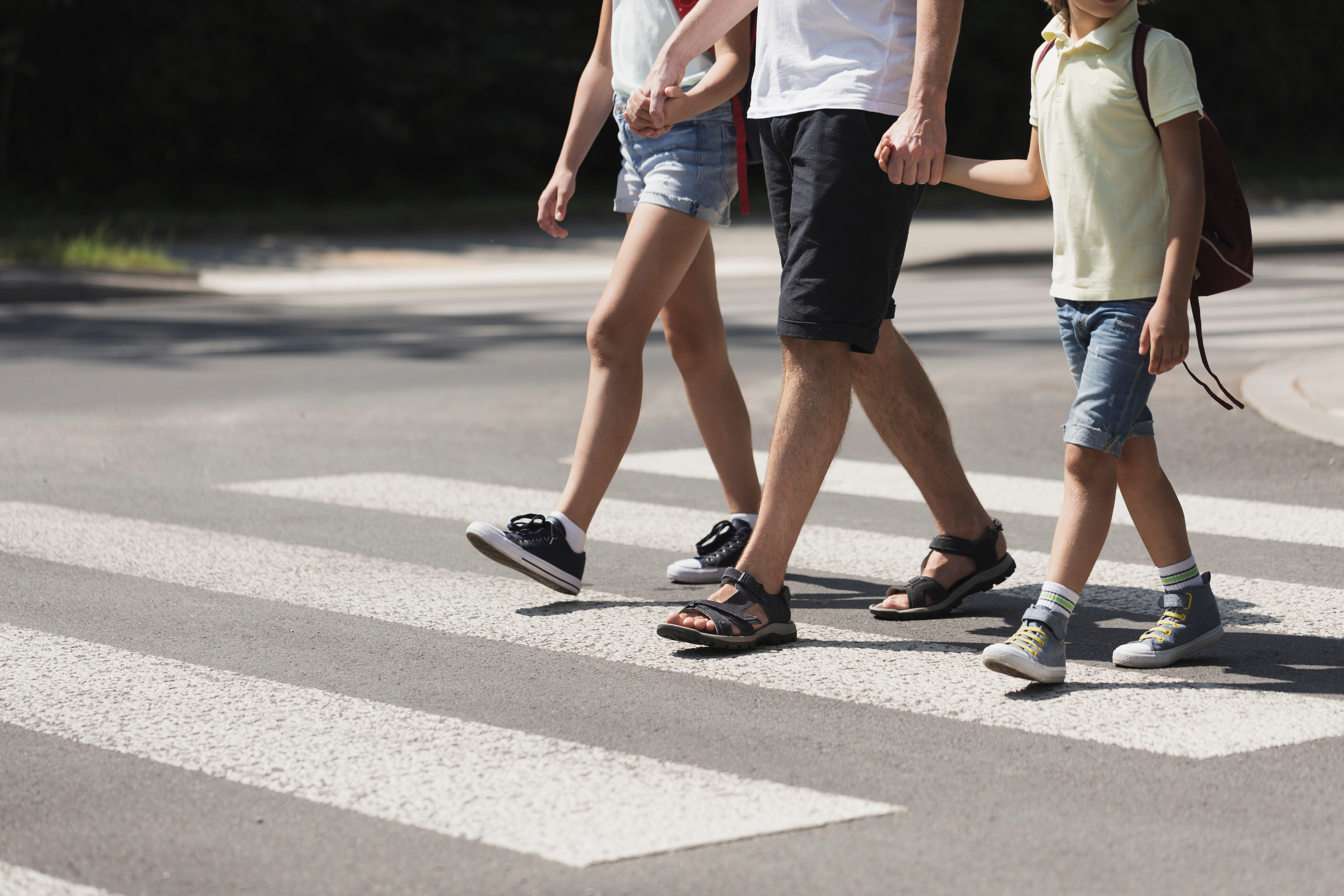 children crossing the pedestrian crossing. teaching children